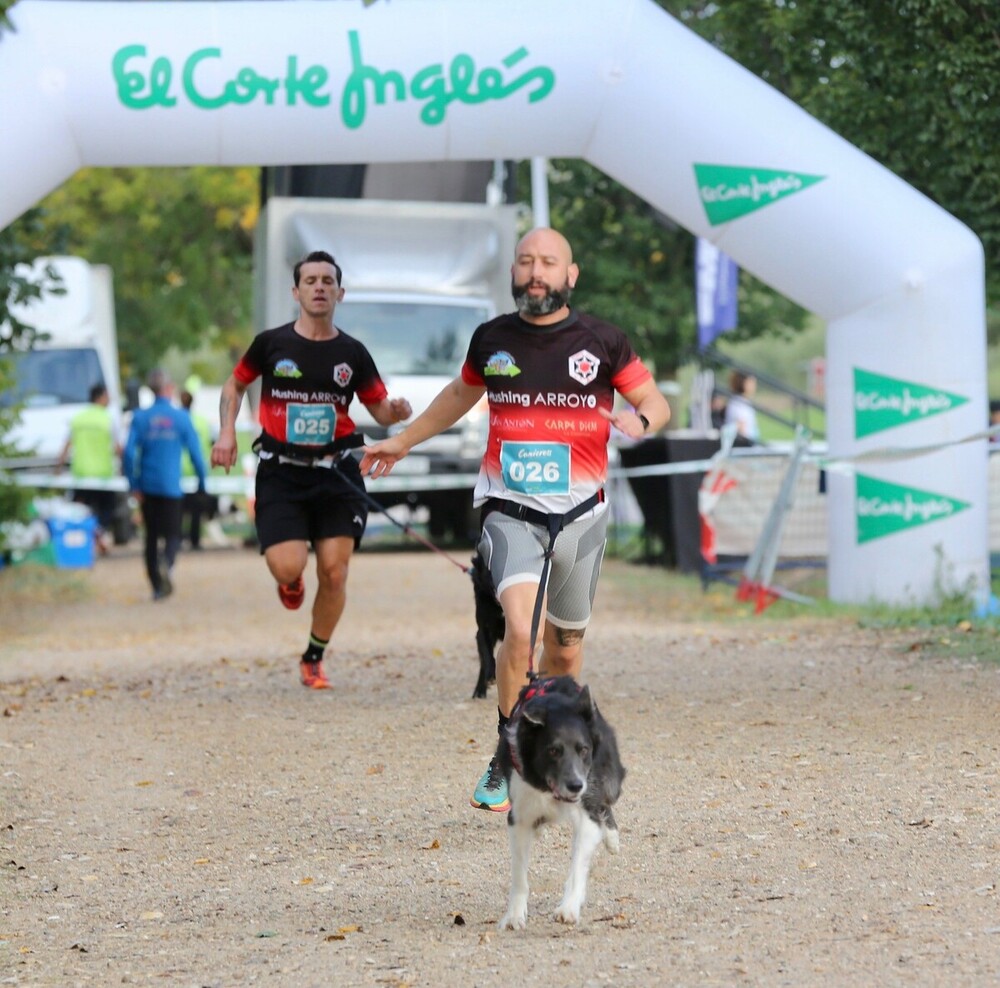 Competición de canicross y marcha familiar organizadas por El Corte Inglés y el Ayuntamiento de Valladolid.