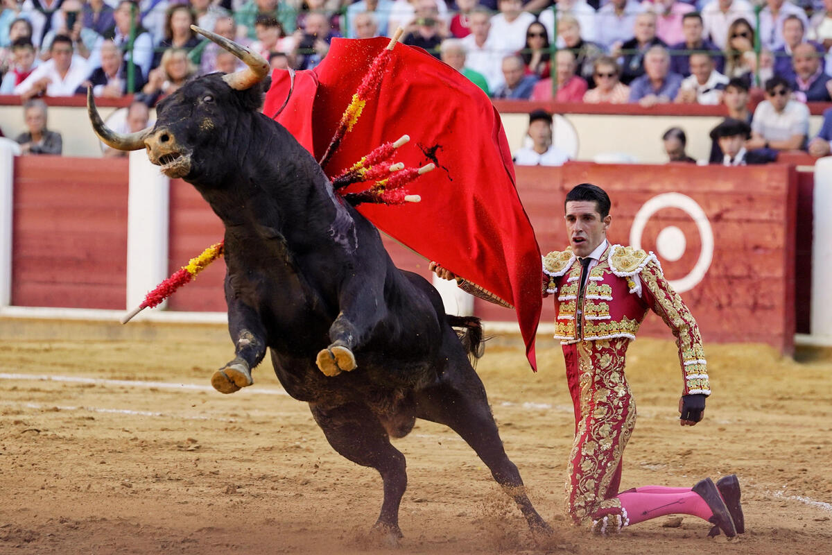 El diestro Alejandro Talavante en su faena durante la tercera corrida de la Feria de la Virgen de San Lorenzo celebrada hoy viernes en la plaza de toros de Valladolid.   / NACHO GALLEGO / EFE