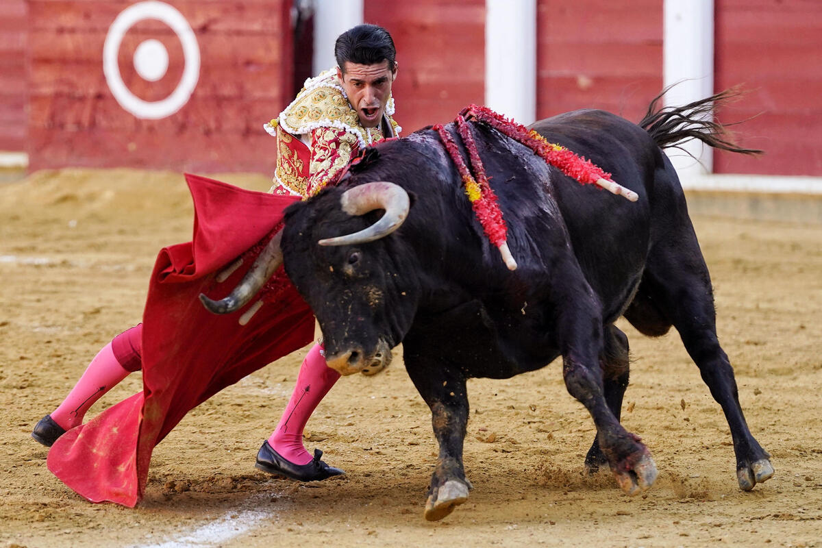 El diestro Alejandro Talavante en su faena durante la tercera corrida de la Feria de la Virgen de San Lorenzo celebrada hoy viernes en la plaza de toros de Valladolid.   / NACHO GALLEGO / EFE