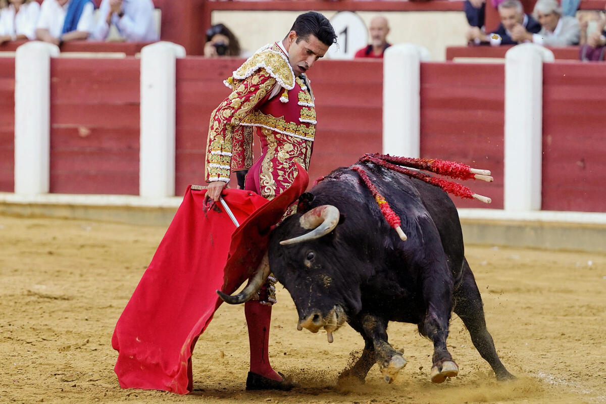 El diestro Alejandro Talavante en su faena durante la tercera corrida de la Feria de la Virgen de San Lorenzo celebrada hoy viernes en la plaza de toros de Valladolid.   / NACHO GALLEGO / EFE