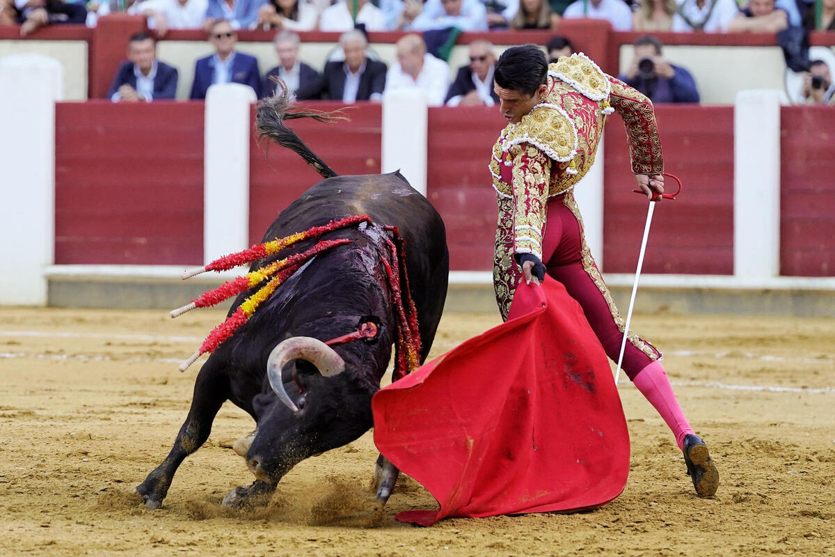 El diestro Alejandro Talavante en su faena durante la tercera corrida de la Feria de la Virgen de San Lorenzo celebrada hoy viernes en la plaza de toros de Valladolid.   / NACHO GALLEGO / EFE