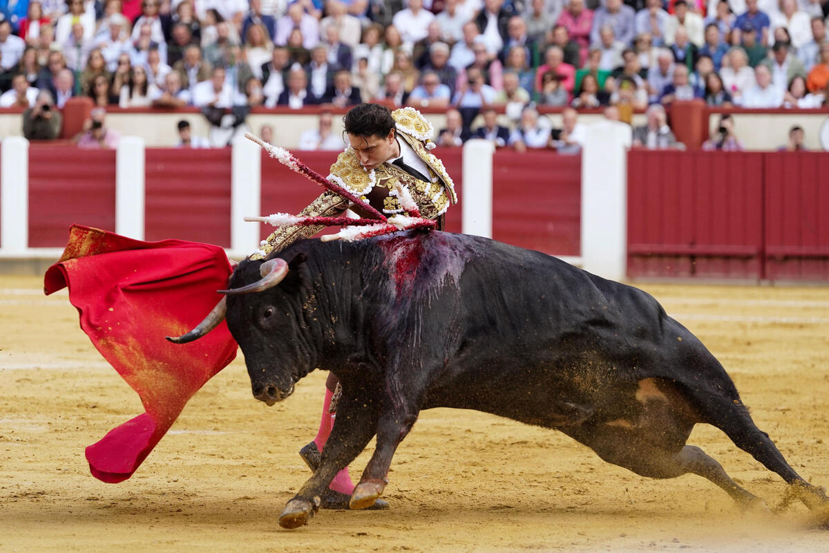 El diestro peruano Andrés Roca Rey en su faena durante la tercera corrida de la Feria de la Virgen de San Lorenzo celebrada hoy viernes en la plaza de toros de Valladolid.  / NACHO GALLEGO / EFE