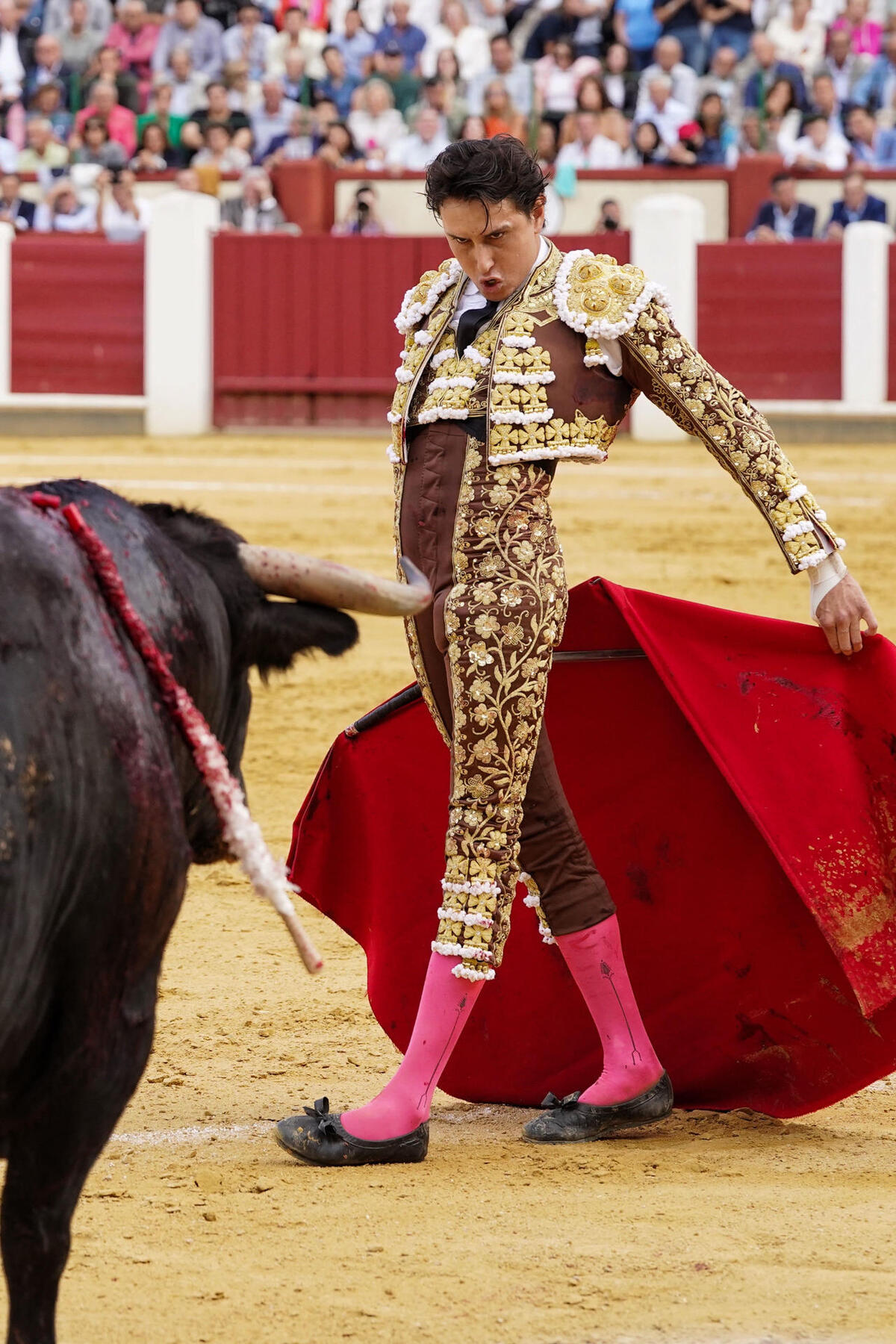 El diestro peruano Andrés Roca Rey en su faena durante la tercera corrida de la Feria de la Virgen de San Lorenzo celebrada hoy viernes en la plaza de toros de Valladolid.  / NACHO GALLEGO / EFE