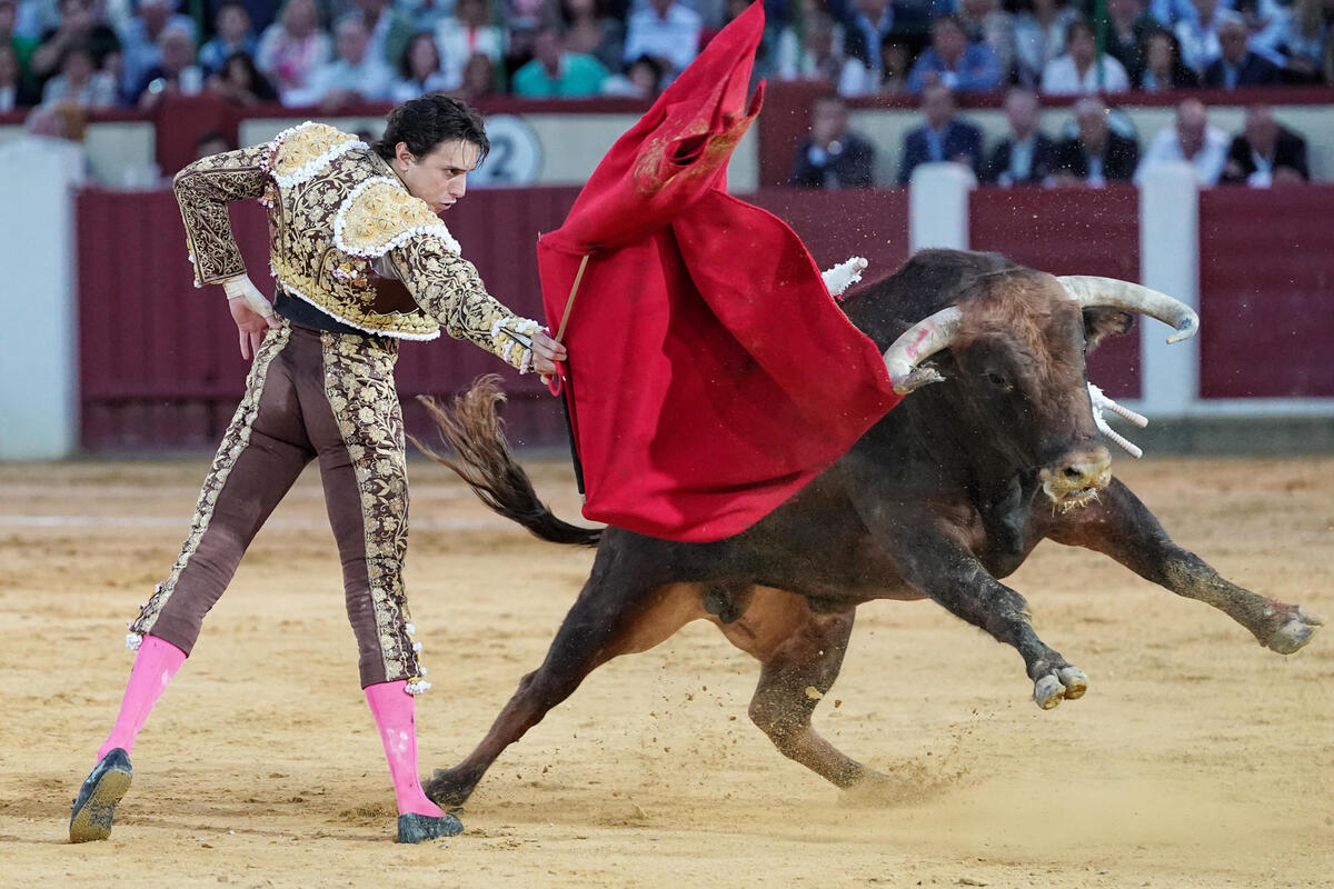 El diestro peruano Andrés Roca Rey en su faena durante la tercera corrida de la Feria de la Virgen de San Lorenzo celebrada hoy viernes en la plaza de toros de Valladolid.  / NACHO GALLEGO / EFE