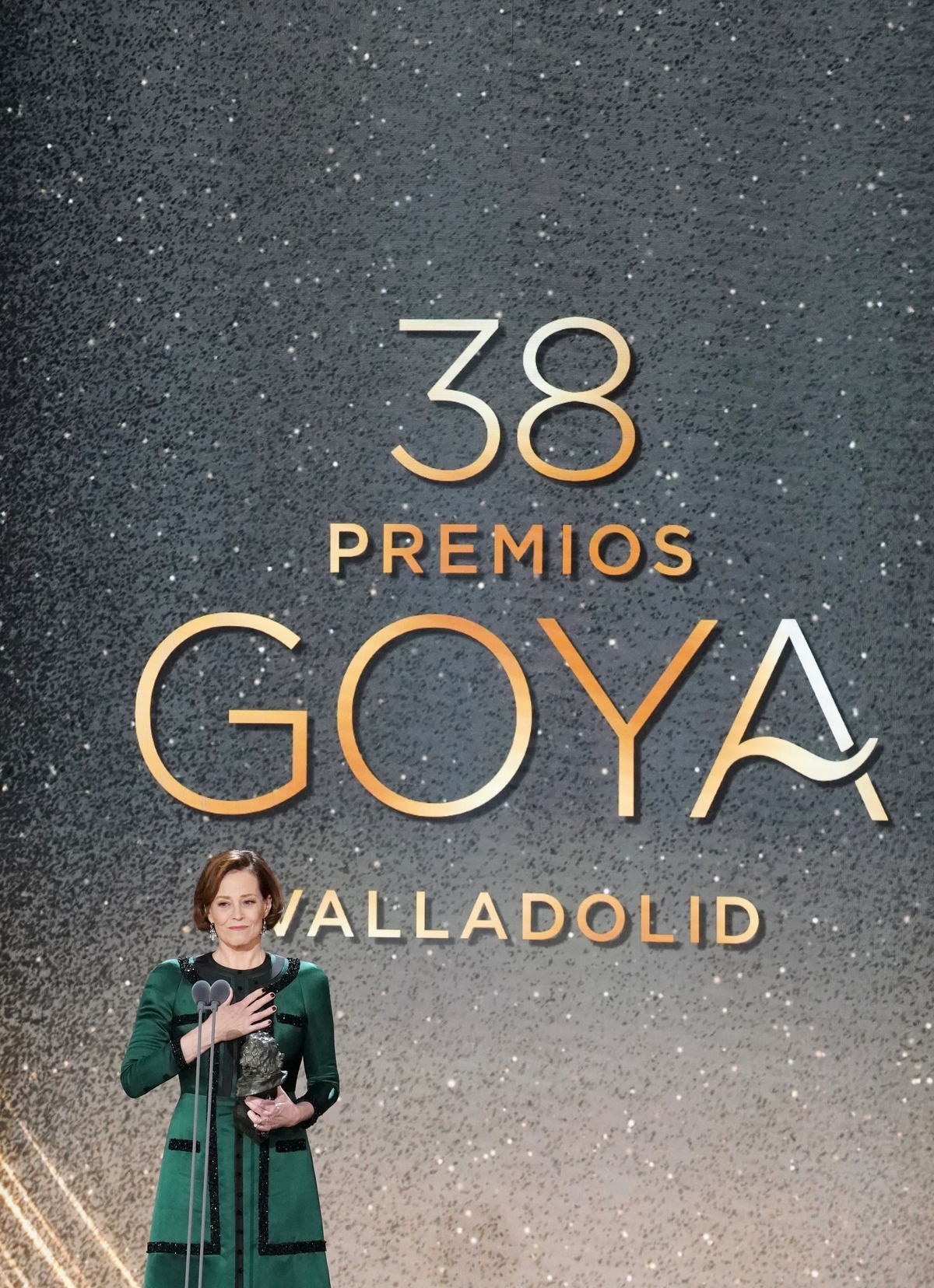 38 edición de la gala de los Premios Goya  / MIRIAM CHACÓN ICAL