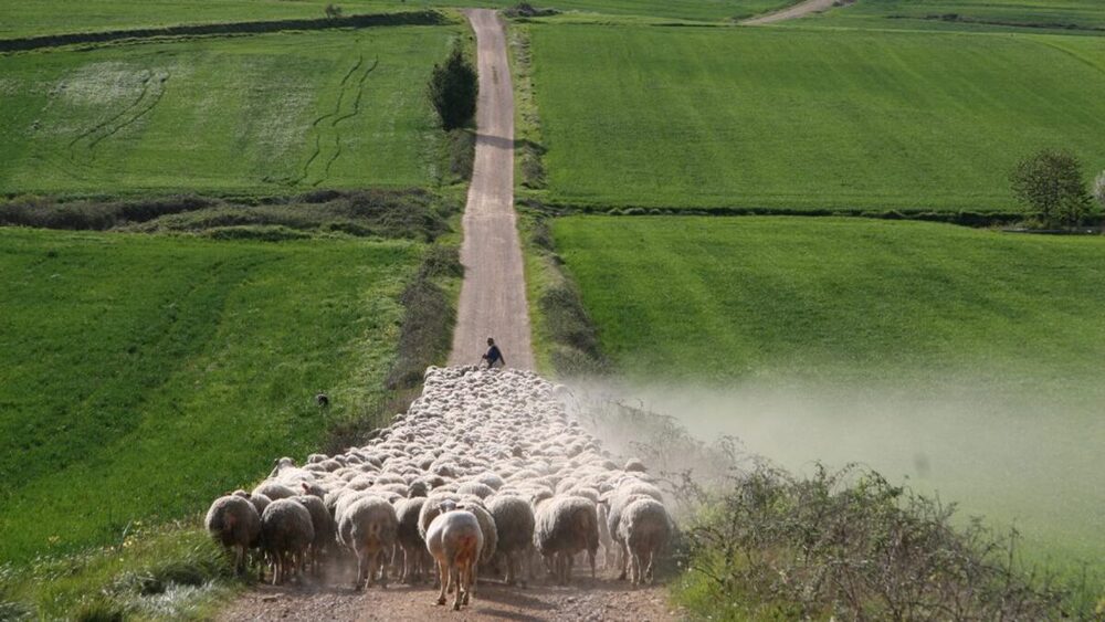 La agricultura reclama más financiación en la COP29