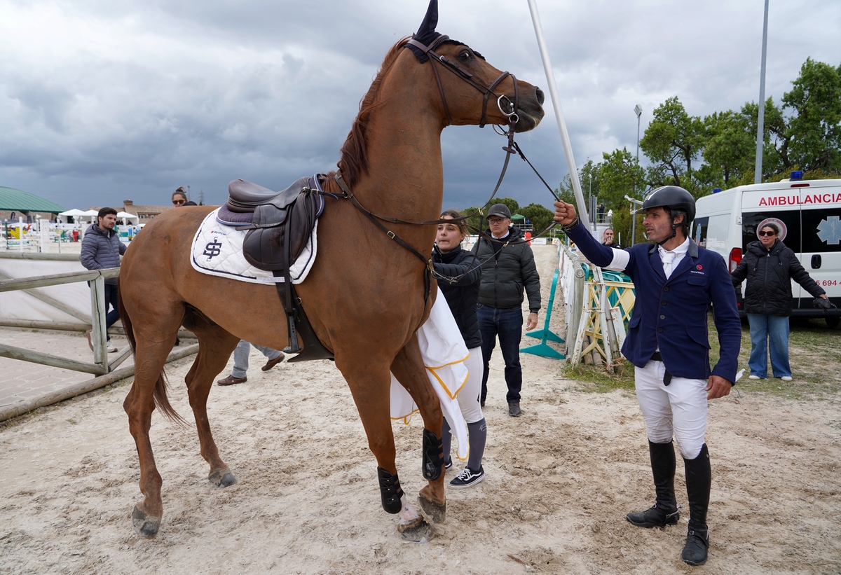 Premio Liga Oro ‘Gran Premio, Excelentísimo Ayuntamiento de Valladolid-Trofeo Caja Rural de Zamora’ del concurso CSN5* de la Liga Nacional de Saltos  / MIRIAM CHACÓN (ICAL)