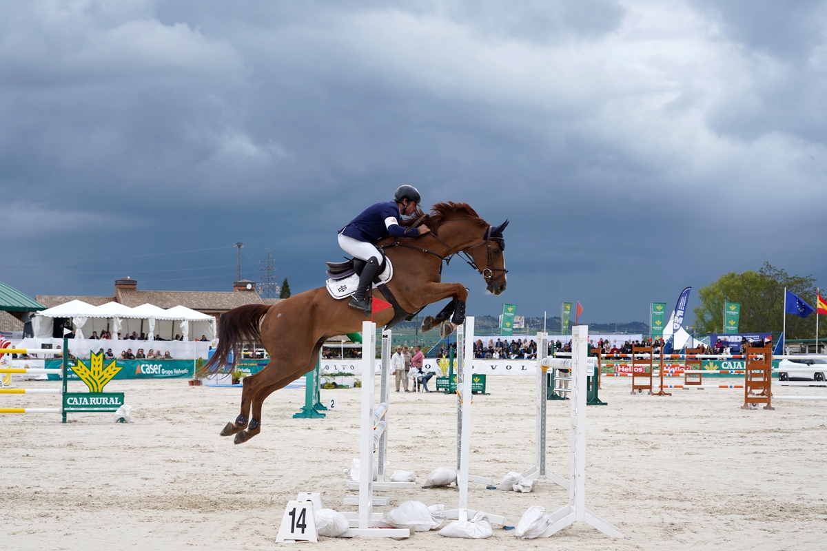 Premio Liga Oro ‘Gran Premio, Excelentísimo Ayuntamiento de Valladolid-Trofeo Caja Rural de Zamora’ del concurso CSN5* de la Liga Nacional de Saltos  / MIRIAM CHACÓN (ICAL)