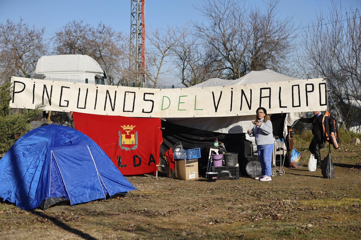 Pingüinos 2024  / AYUNTAMIENTO DE VALLADOLID