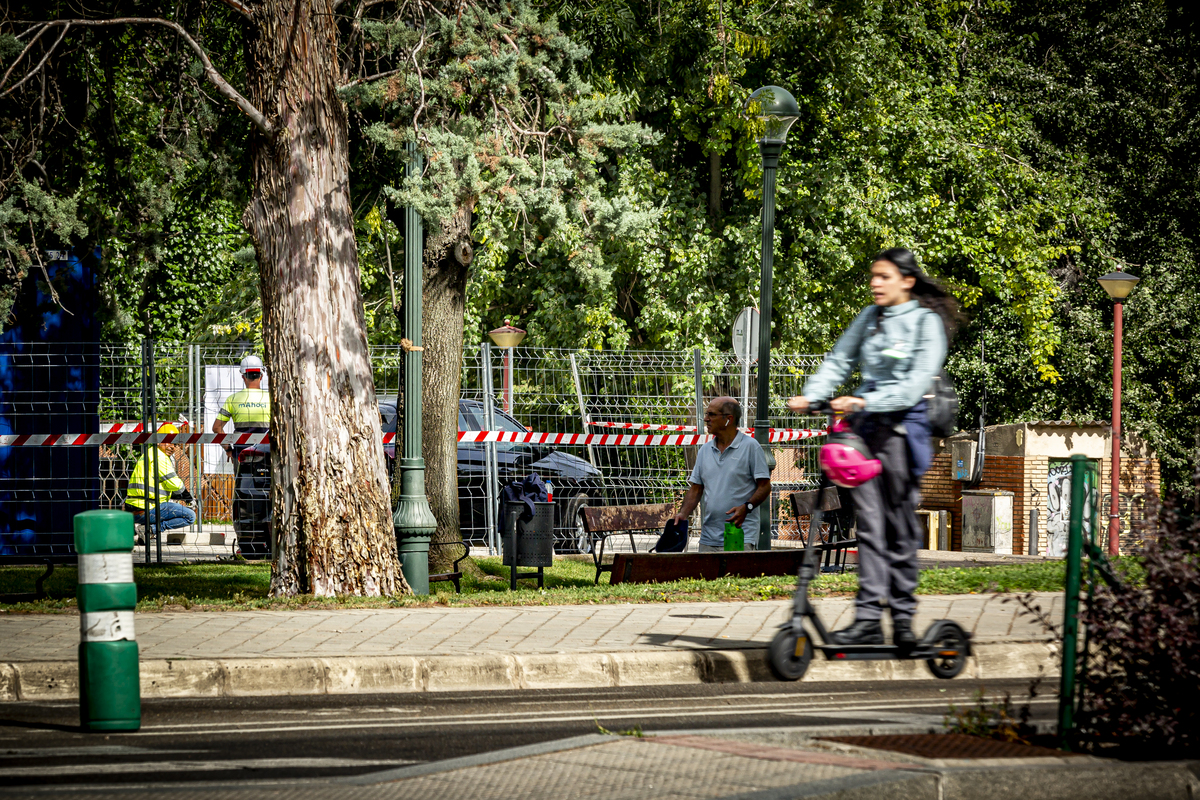 Obras del carril bici del paseo de Isabel la Católica  / JONATHAN TAJES