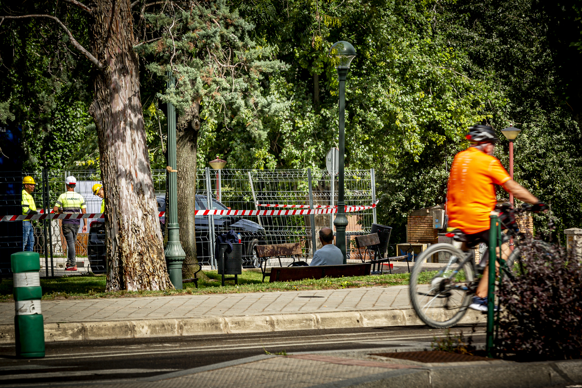 Obras del carril bici del paseo de Isabel la Católica  / JONATHAN TAJES