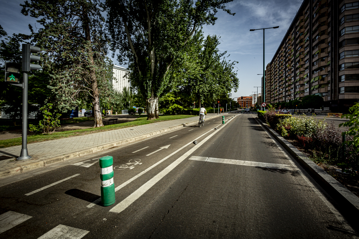 Obras del carril bici del paseo de Isabel la Católica  / JONATHAN TAJES