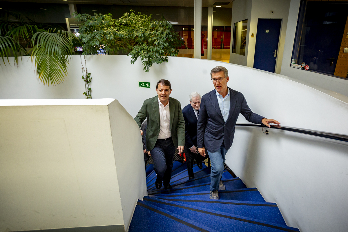 Visita del presidente del Partido Popular, Alberto Núñez Feijóo, al edificio Promecal   / JONATHAN TAJES