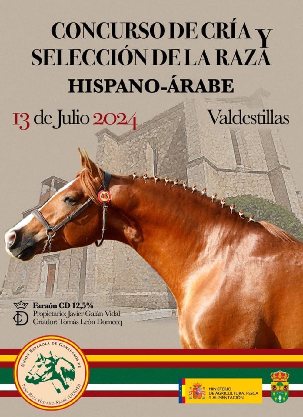 Presentación del concurso nacional de caballos hispano-árabes que tendrá lugar en Valdestillas el próximo sábado 13 de julio.