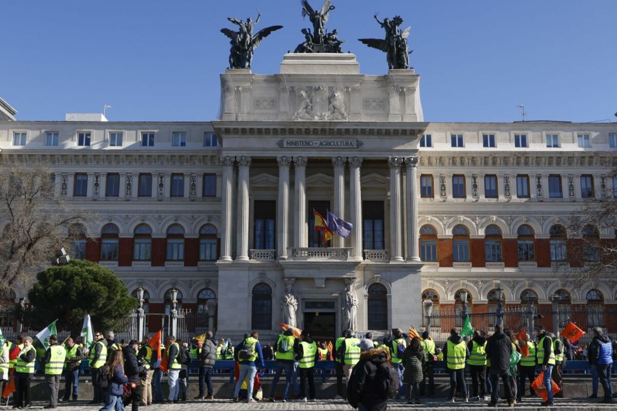 Una tractorada en Madrid y cita clave en la UE: así arranca la tercera semana de protestas  / J.J. GUILLÉN