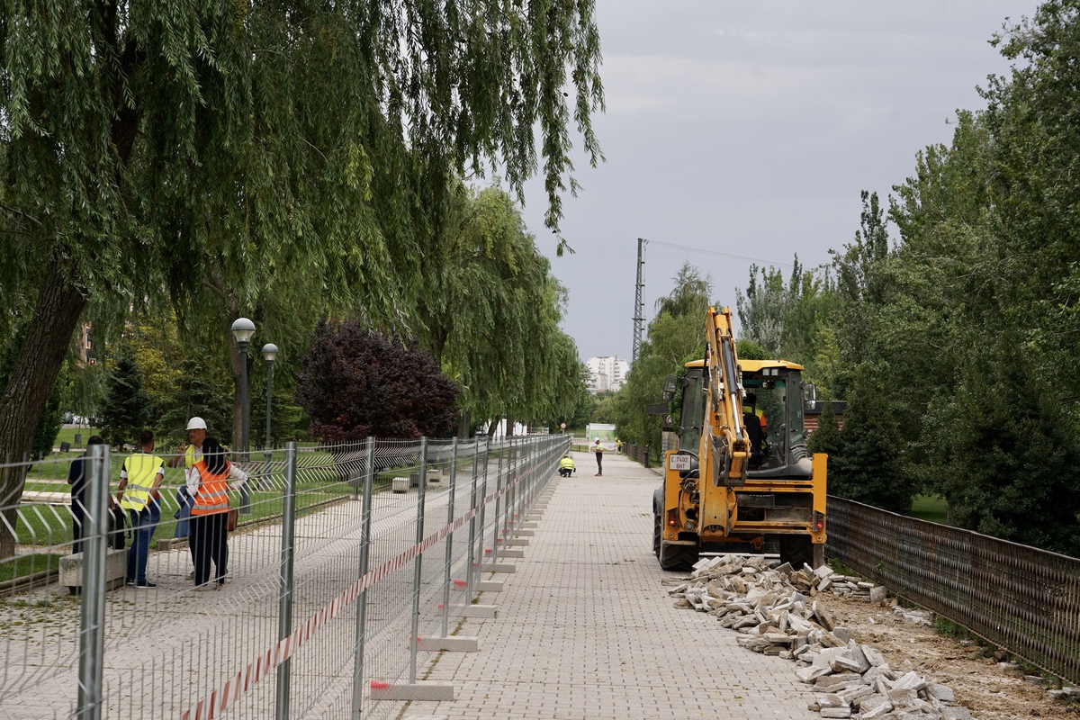 Obras del carril bici del paseo de Isabel la Católica  / MIRIAM CHACÓN / ICAL