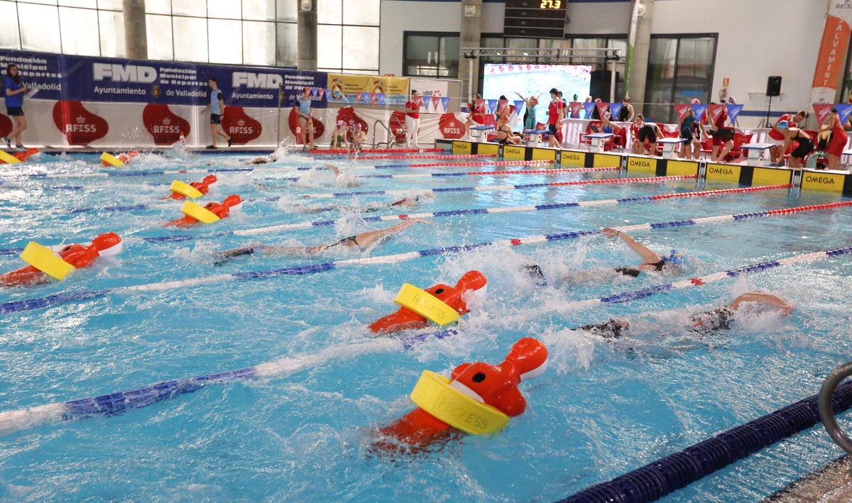 Imagen del Campeonato de España de Distancias Cortas de salvamento y socorrismo.  / MONTSE.ALVAREZ