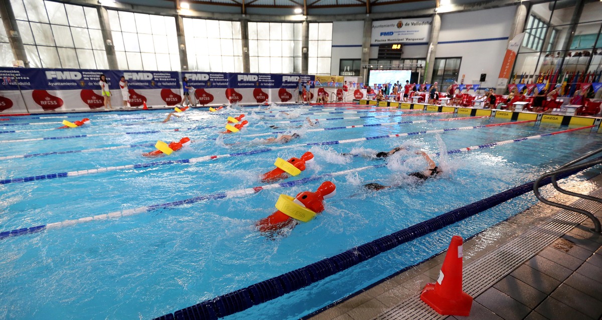 Imagen del Campeonato de España de Distancias Cortas de salvamento y socorrismo.  / MONTSE.ALVAREZ