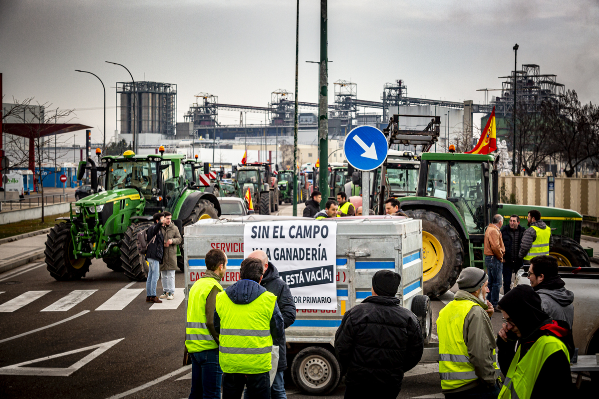 Tractorada en Valladolid  / JONATHAN TAJES