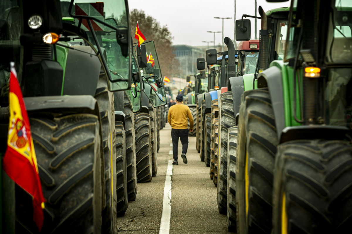 Tractorada en Valladolid  / JONATHAN TAJES