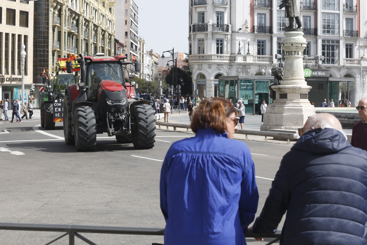 Tractorada y manifestación en protesta contra la gestión de la CHD  / JONATHAN TAJES