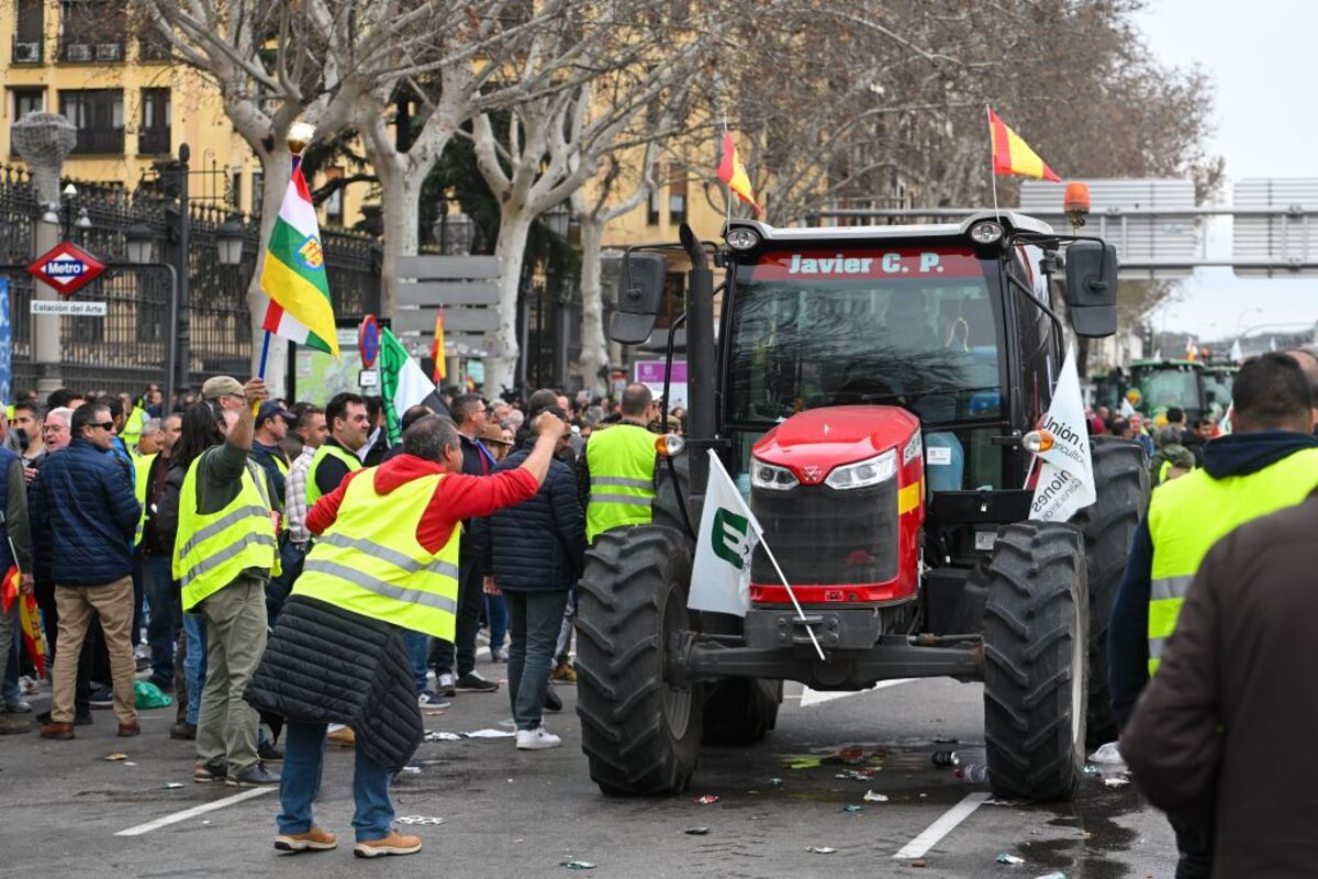 Protestas de los agricultores en Madrid  / FERNANDO VILLAR