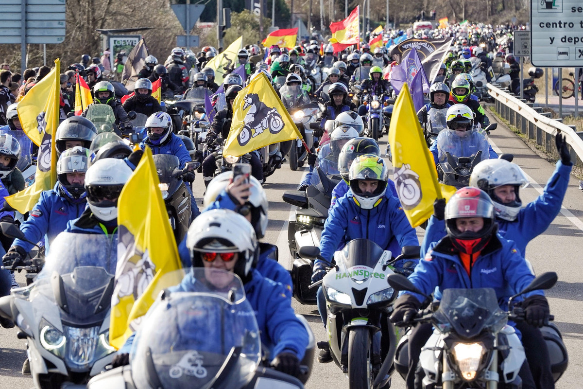 Los Pingüinos 2025 se quitan la chaqueta en un desfile de banderas a ritmo de gas  / NACHO GALLEGO