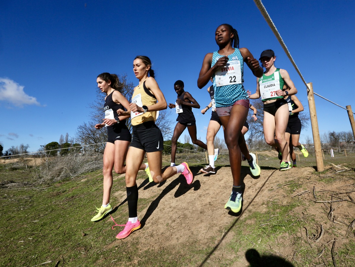 Cross Internacional Ciudad de Valladolid.  / MONTSE.ALVAREZ