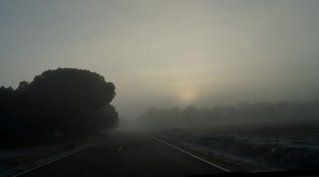 La niebla vuelve a condicionar la circulación