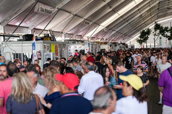 Adjudicadas las obras para la luz de la Feria Gastronómica