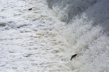 La reserva hídrica del Duero se sitúa al 88,4% de su capacidad
