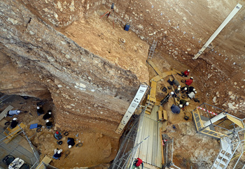 Carbonell: 'Será el año más importante de Atapuerca'