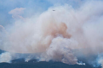 El fuego desangra la Corona Forestal de Tenerife