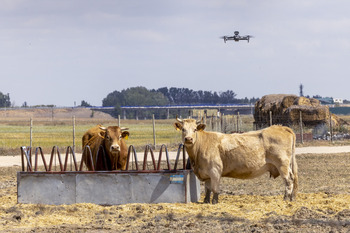 Trabajo rural, a vista de pájaro