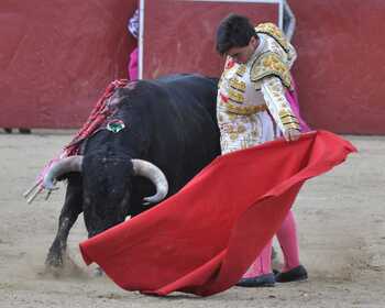 Víctor Cerrato triunfa en la novillada de Olmedo