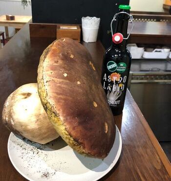 Recogen en Zamora un boletus gigante para el Astrolabio