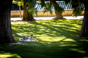 El Ayuntamiento adaptará una guía para olas de calor