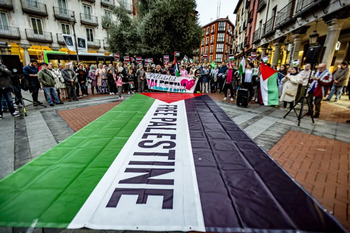 Convocan una nueva manifestación de apoyo a Palestina