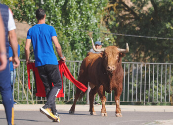 El Toro de la Vega se salda con dos heridos graves