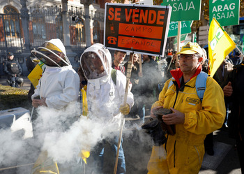 Vuelta a la calle