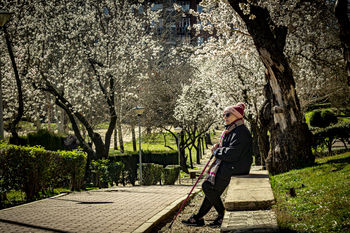 Valladolid florece en invierno debido al calor inusual