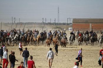 Medina del Campo ya espera sus encierros de interés nacional