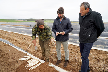 García-Gallardo impulsará la Feria de Exaltación del Espárrago