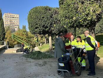 Arranca con cambios la campaña de poda y recogida de hojas