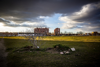 Urbanismo licita suelo en Los Viveros para un 'cohousing'