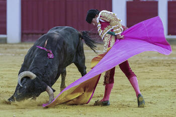 El alcalde defiende los toros: 