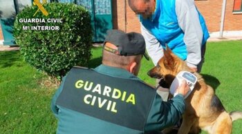 31 denuncias dentro de la 'Operación Can' de la Guardia Civil