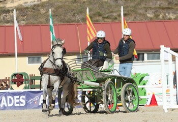 Manuel Vicente Hernández, campeón regional León de enganches