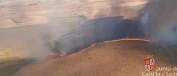 Un incendio afecta a 40 hectáreas en Villasexmir