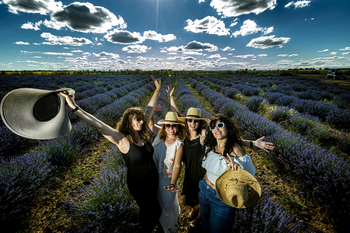 Esencia de lavanda, de Tiedra al mundo